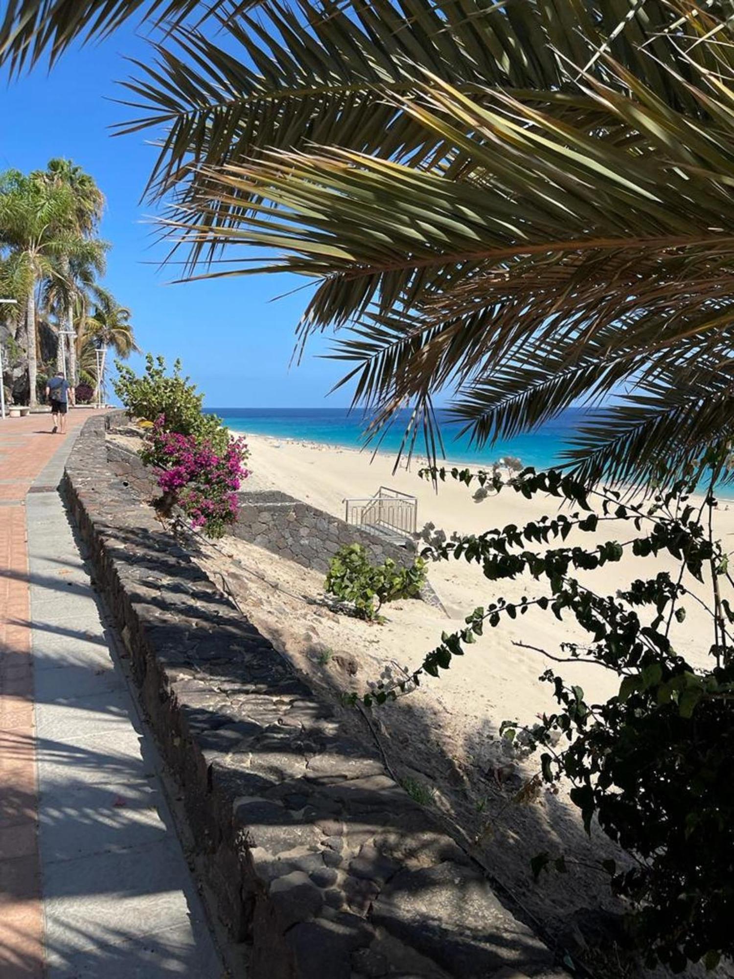 شقة Casa Reina Playa Jandia المظهر الخارجي الصورة