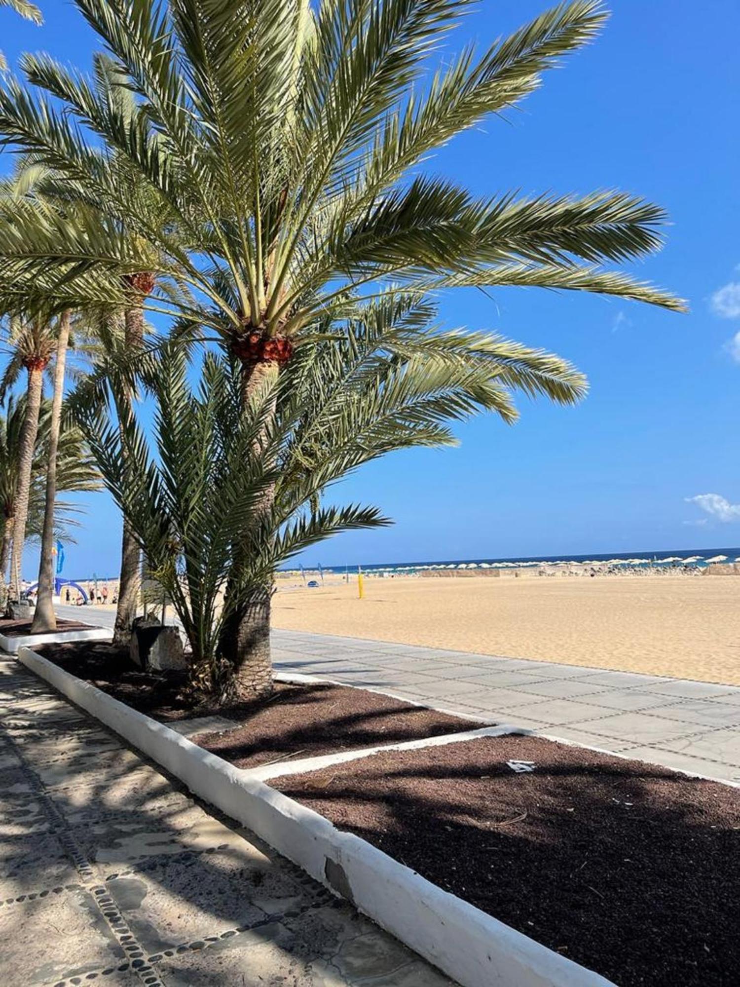شقة Casa Reina Playa Jandia المظهر الخارجي الصورة